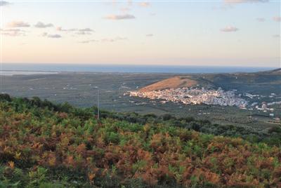 Veduta di Carpino dal Monte Vernone: il borgo si raccoglie sul pendio sopra la pianura