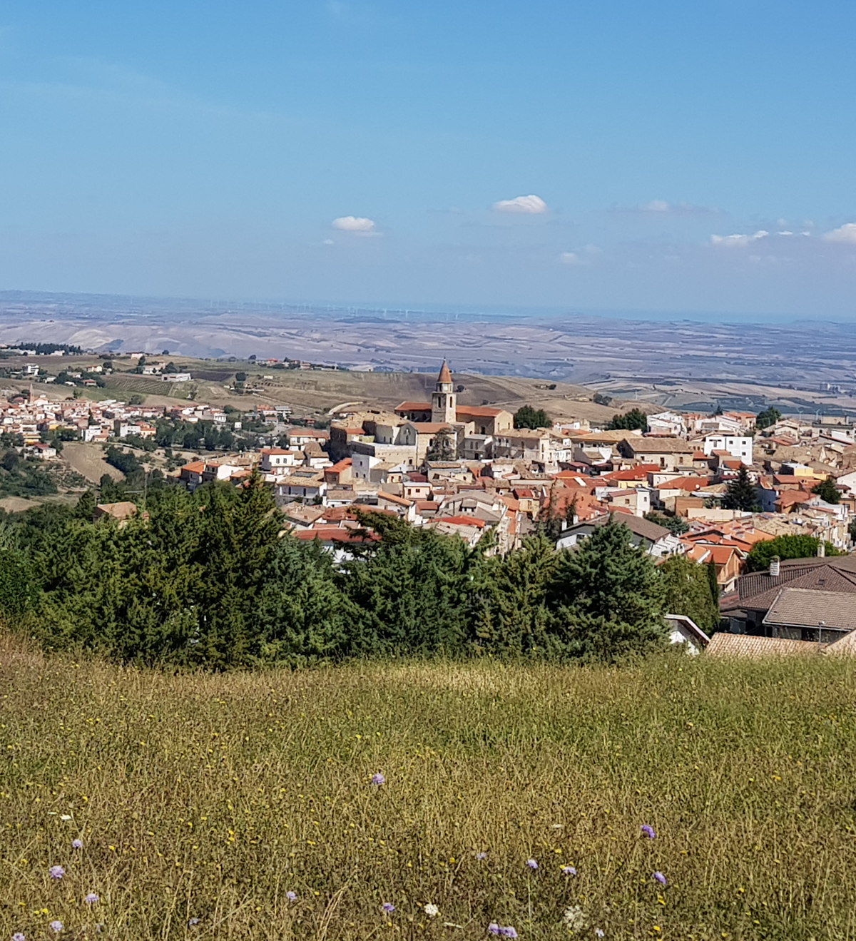 Veduta di Castelnuovo della Daunia con la chiesa, i tetti del borgo e la pianura sullo sfondo
